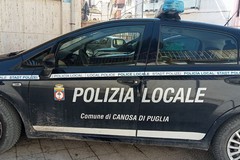 Assunzione a Canosa di Puglia del Dirigente Comandante della Polizia Locale