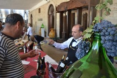 Cantine aperte in vendemmia in Puglia: ben 3 quelle partecipanti da Andria