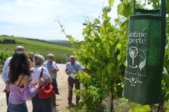 Cantine Aperte, enoappassionati in Puglia per la festa del vino
