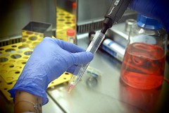 Coronavirus, in Puglia nessun allarme: «Nessun contagiato identificato»