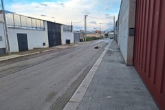 Macabro rinvenimento questa mattina su via Santa Lucia: cane fatto a pezzi