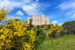 Da Andria a Castel del Monte con il trasporto pubblico locale