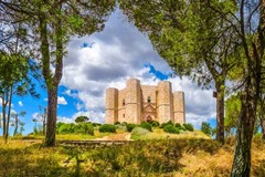 Bosco Finizio e Pineta di Castel del Monte: gara per l’affidamento in concessione della gestione