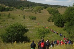 Escursione serale nella foresta Mercadante con l’Ass.Puglia Federiciana