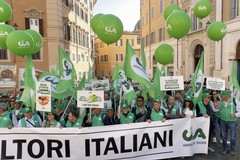 Centinaia di agricoltori pugliesi a Roma con CIA Puglia: “Non ce la facciamo più”