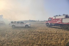 Oltre 800 ettari in fumo sulla Murgia minervinese: indagano i Carabinieri forestali di Altamura e di Andria