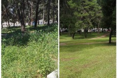 La Pineta rimessa a posto, era diventata una "selva"