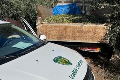 Predoni nuovamente nelle campagne di Andria: la Campestre recupera furgone con oltre 15 q.li di olive