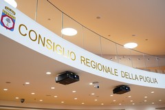 Consiglio regionale: approvata legge che disciplina gli interventi di ristrutturazione edilizia