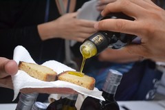 Al via l’iniziativa “Frantoi Aperti 2020- Limited Edition”