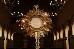 Corpus Domini, le iniziative nella Diocesi di Andria
