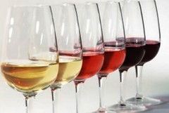 Onav Bat, al via nuovi corsi per assaggiatori di vino