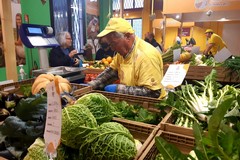Cresce la Dop economy con 4.300 operatori e oltre 54mila ettari di superficie impegnata