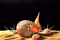 Un catalogo d'arte in memoria del pittore andriese Michele Ficarazzo