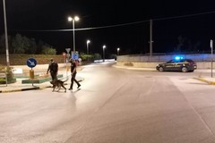 Sicurezza nella Bat, Losito (Cambiamo): "Furti, atti vandalici e assembramenti, non sarebbe ora di intensificare i controlli?"