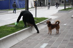 Deiezioni canine: altre 15 multe comminate ad Andria dalla Polizia locale a detentori di cani