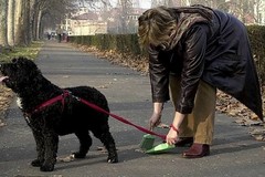 Polizia Locale: controlli in abiti civili ad Andria per multare gli sporcaccioni delle deiezioni canine
