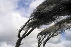 Allerta meteo gialla per vento dalla mezzanotte di domenica 22 febbraio