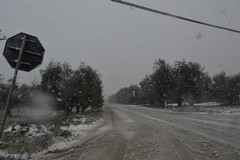 Spruzzata di neve in città, emergenza passata e buona organizzazione