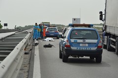 Incidente mortale sulla SS 16 bis: perde la vita un barlettano 