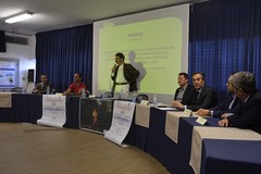 Xylella, primi risultati dalle sperimentazioni sugli ulivi