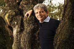 Olio: Conclusi i webinar formativi AIFO per rafforzare competenze e qualità nel settore oleario