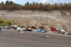 Turismo e strade extraurbane: rifiuti e miasmi deturpano il paesaggio. L'Andria Canosa ridotta ad una discarica continua