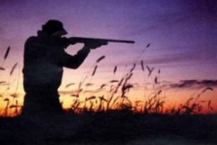 L’OIPA chiede alla Regione Puglia di sospendere l'avvio della stagione di caccia