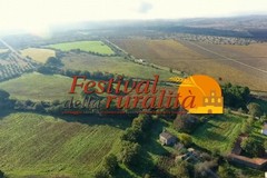 Grande partecipazione e un "paniere" di contenuti alla 3^ giornata del Festival della Ruralità