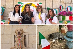 La “Piccola orchestra dell’Oasi” di Andria vince il 2° Concorso nazionale "Rocco il cocco"