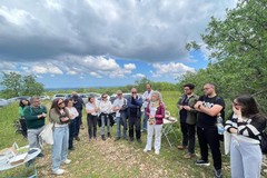 Partita la Fiera d’Aprile, 588esima edizione. Gli eventi in programma 