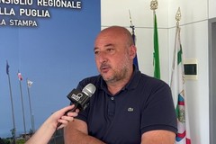 Partito Democratico, Filippo Caracciolo: «Congratulazioni ad Elly Schlein»