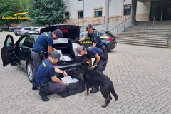 Guardia di Finanza: nel 2024, 3.100 finanzieri in più sul territorio italiano