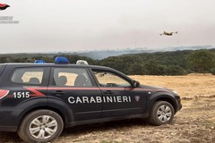 Approvato l'accordo tra Regione Puglia e Carabinieri Forestali per la tutela ambientale