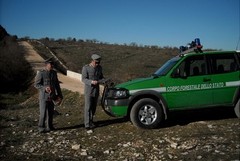 Raccolta tartufi, controlli in tutto il territorio del Parco