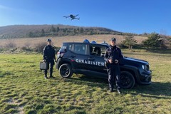 Furti di bestiame nel nord Barese, Confagricoltura chiede presìdi militari e l'uso di droni contro l'abigeato
