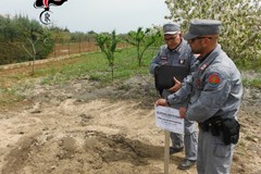 Smaltimento illegale di rifiuti speciali: denunciato anche un andriese