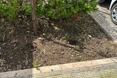 Fareambiente Andria condanna i comportamenti incivili contro il patrimonio dei cittadini