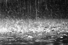 Allerta meteo gialla per piogge per tutta la giornata del 5 settembre