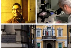 Alla ricerca sul vaccino contro il Covid-19, la borsa di ricerca “Pasquale Pisani” 2020
