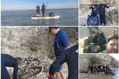 Il Centro Sub Andria e l'associazione Suppiamo ripuliscono a Trani le spiagge di Colonna, Lido Mongelli e Mattinelle