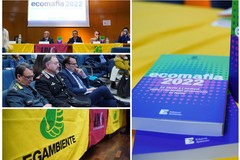 Ecomafia 2022: i numeri della criminalità ambientale in Puglia