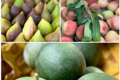 Caldo africano: aumenta il disagio per circa mezzo milione di pugliesi che soffrono di insonnia