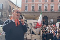 Operativo il Documento elettronico di Accompagnamento Olivicolo: "Avanti con le altre misure"