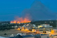 Incendio di sterpaglia manda in fumo 5 ettari
