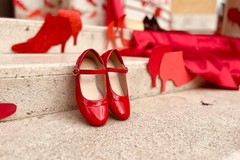 Violenza sulle donne: la F.I.D.A.P.A. fornisce un contributo alla consapevolezza