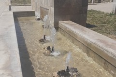 Ripulita e riaggiustata la fontana di Largo Grotte da parte dell'AndriaMultiservice