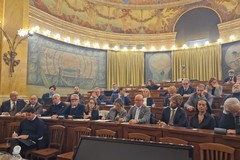 Extravergine di oliva, passi in avanti in un incontro al Ministero dell'agricoltura