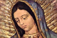 La città di Andria si appresta a celebrare la festa della Madonna di Guadalupe