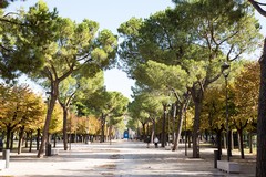 “La Giornata dello Sport”, il 21 ottobre  presso la Villa Comunale